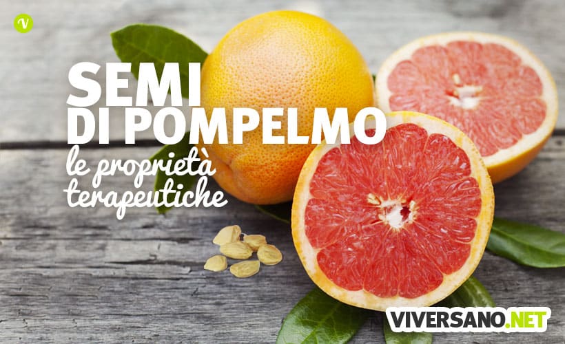 Semi di pompelmo proprietà, usi e controindicazioni