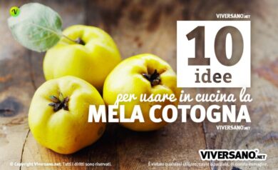 10 utilizzi delle mele cotogne in cucina