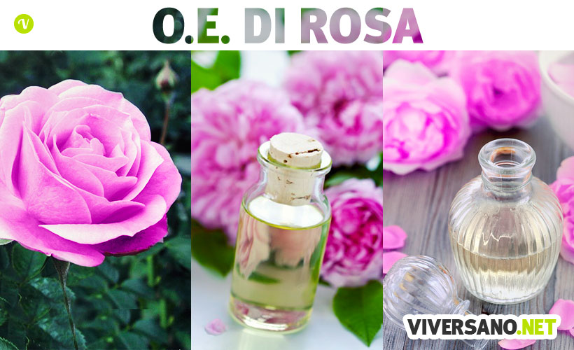 Olio essenziale di rosa: proprietà e usi in aromaterapia e cosmesi