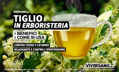 Fiori e foglie di tiglio e una tisana in primo piano