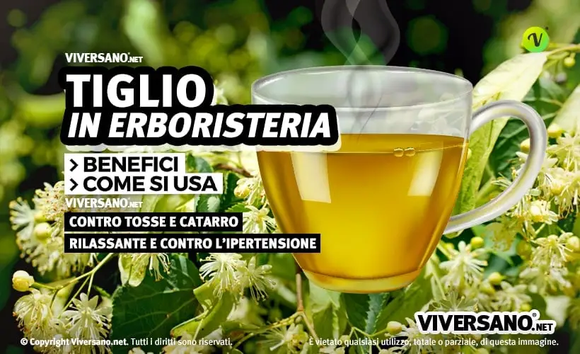 Fiori e foglie di tiglio e una tisana in primo piano