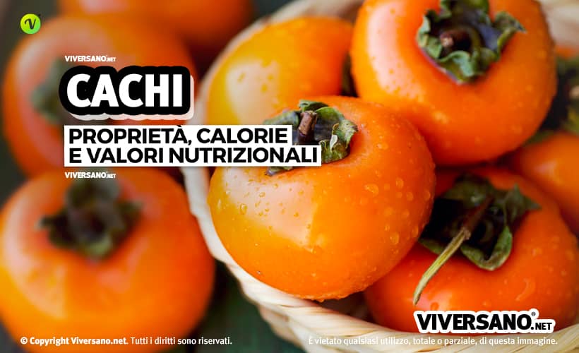 Cachi: proprietà, benefici e controindicazioni