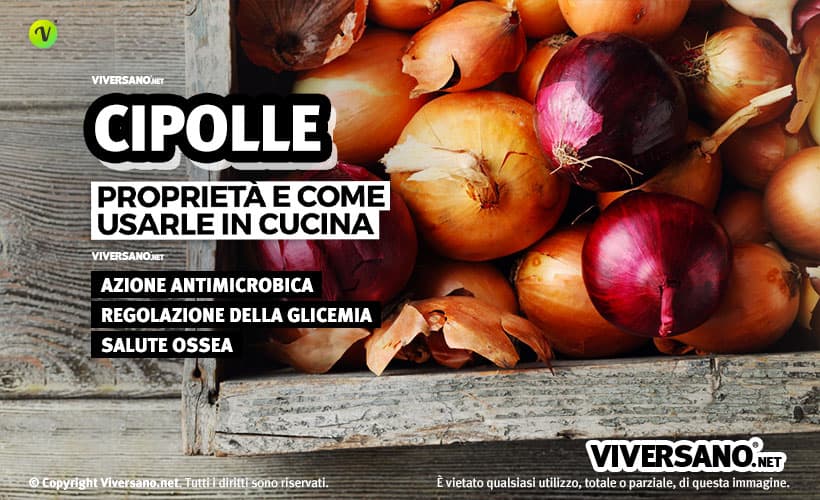 Cipolla: proprietà, benefici, usi e controindicazioni