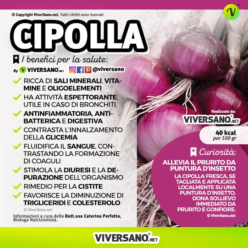 Scarica: Le proprietà della cipolla