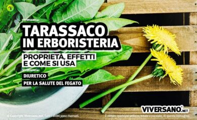 Foglie e fiori di tarassaco sopra un tavolo