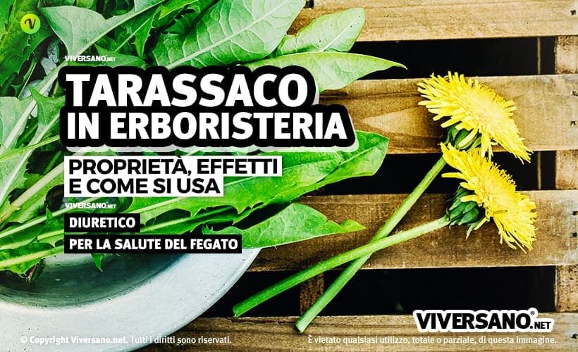 Foglie e fiori di tarassaco sopra un tavolo