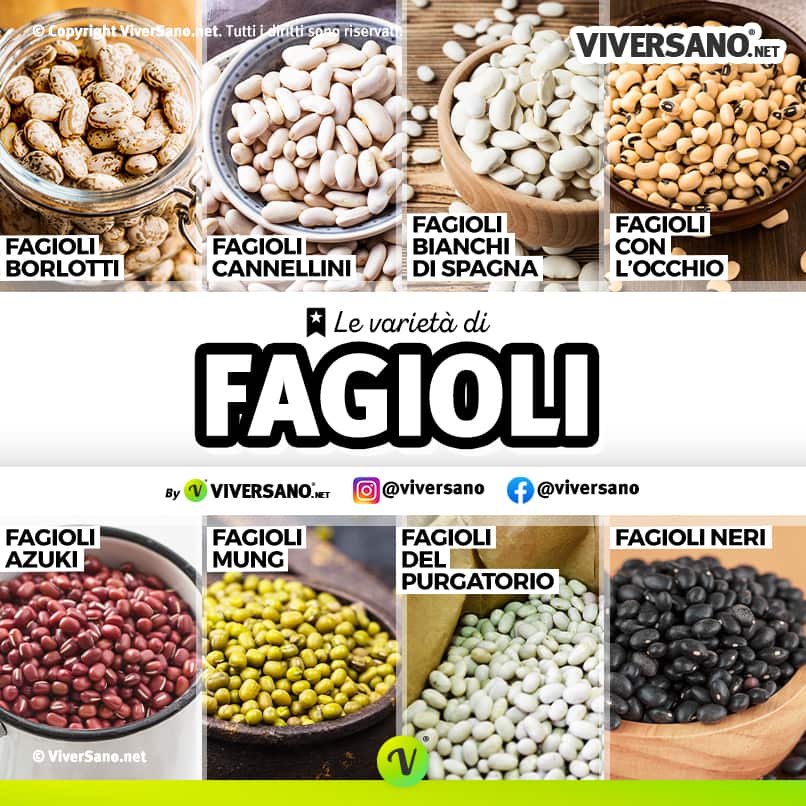 Infografica sulle tipologie di fagioli