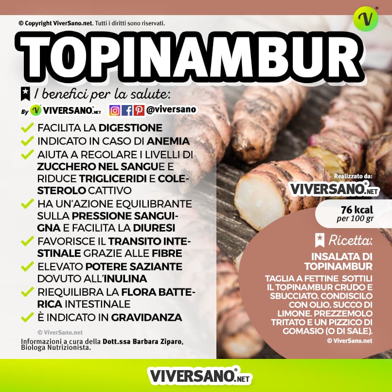 Scarica: Le proprietà del topinambur