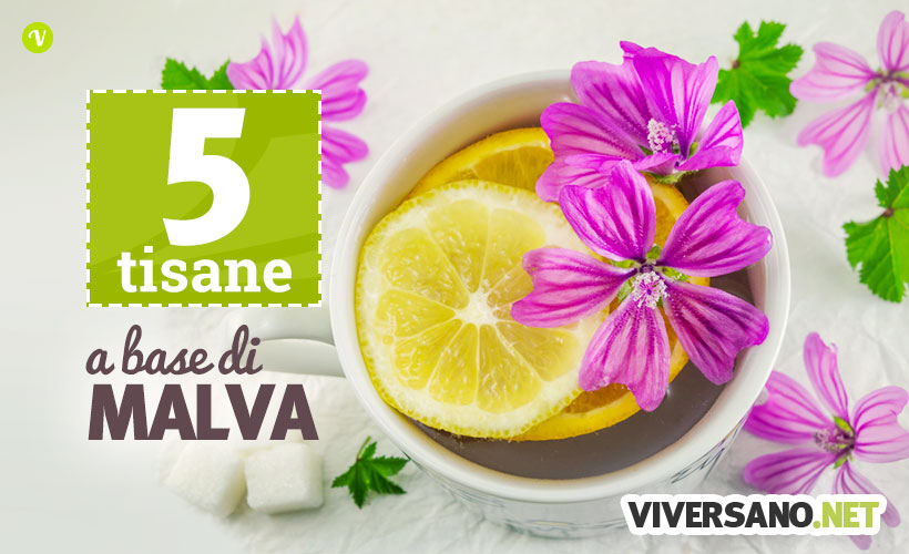 Tisana alla malva: 5 ricette per farla in casa
