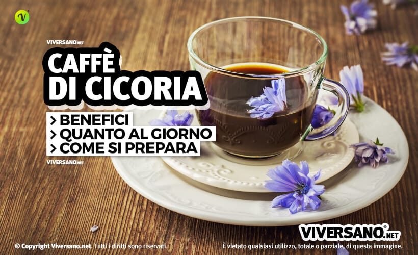 Caffè di cicoria: benefici, preparazione e acquisto
