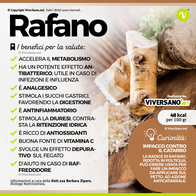Infografica sui benefici del rafano