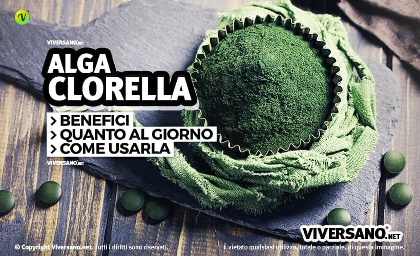 Alga chlorella: proprietà, benefici e controindicazioni
