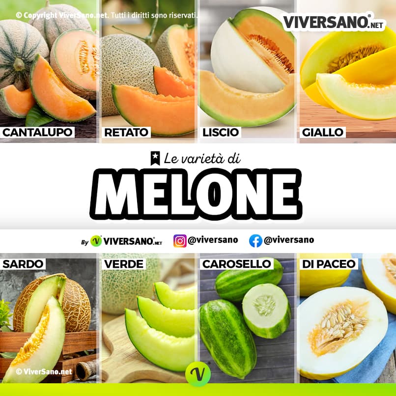 Infografica rappresentativa di 8 tipologie di melone