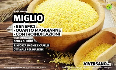Miglio in chicchi dentro una scodella