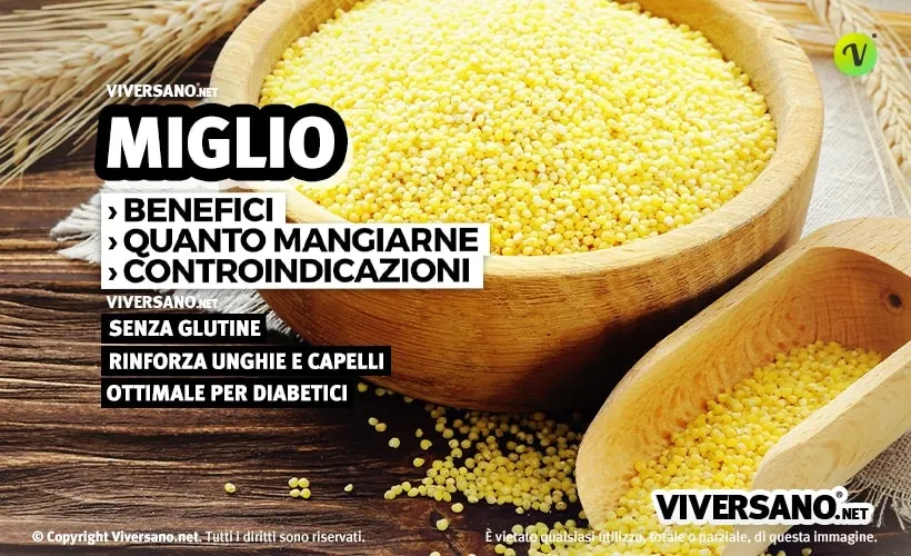 Miglio in chicchi dentro una scodella
