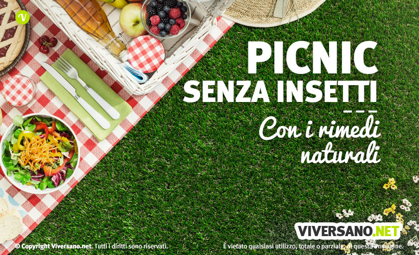 Pic nic: 10 repellenti naturali contro gli insetti