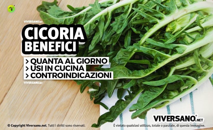 Cicoria fresca sopra un tavolo