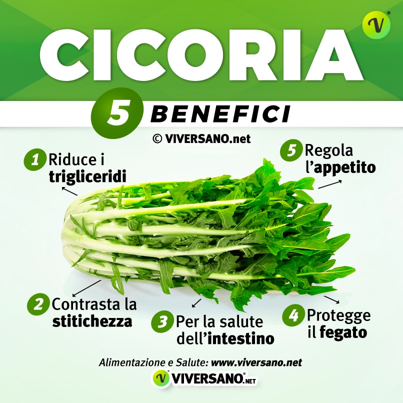 Infografica su 5 benefici della cicoria