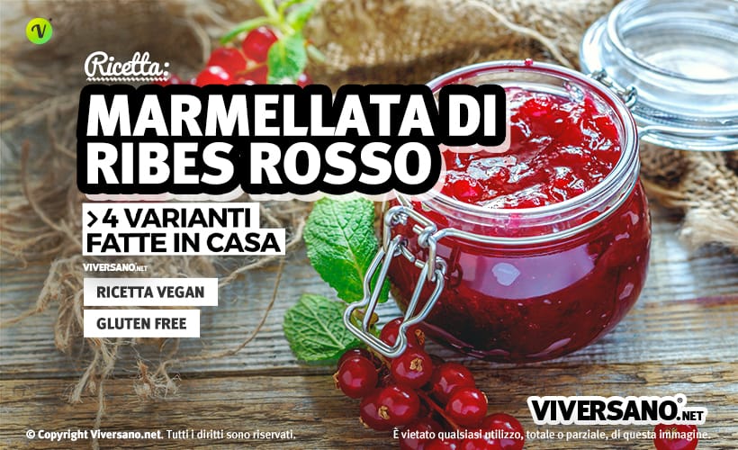 Ricetta per la marmellata di ribes rosso