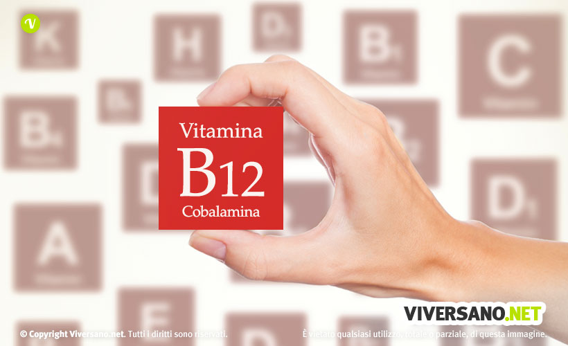 Vitamina B12: a cosa serve, proprietà, carenza e fonti alimentari