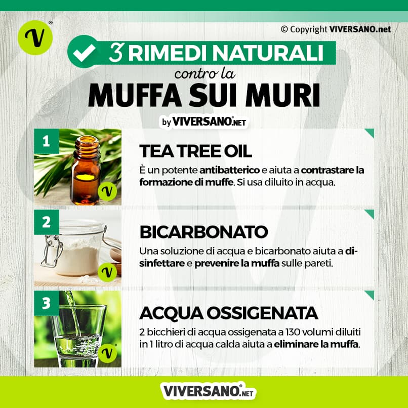 Infografica: 3 rimedi per la muffa sui muri