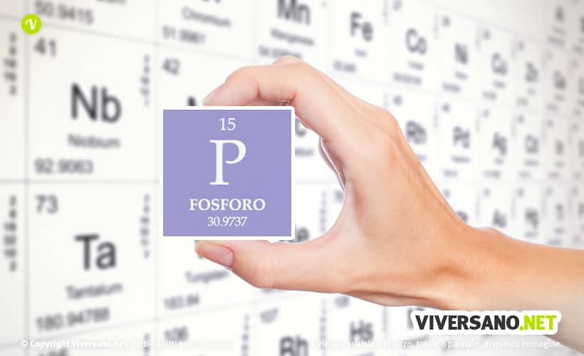 Copertina dell'articolo - Fosforo: a cosa serve