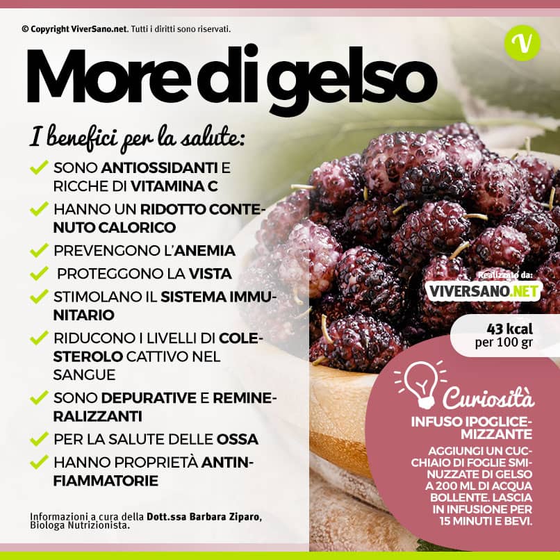 Scarica: Le proprietà delle more di gelso