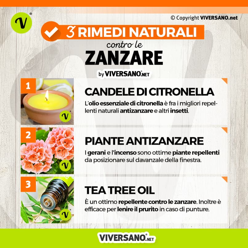Infografica: 3 rimedi contro le zanzare