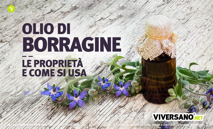 Fiori di borragine e olio in una boccetta