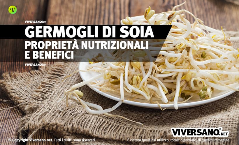 Immagine di germogli di soia sopra un piatto