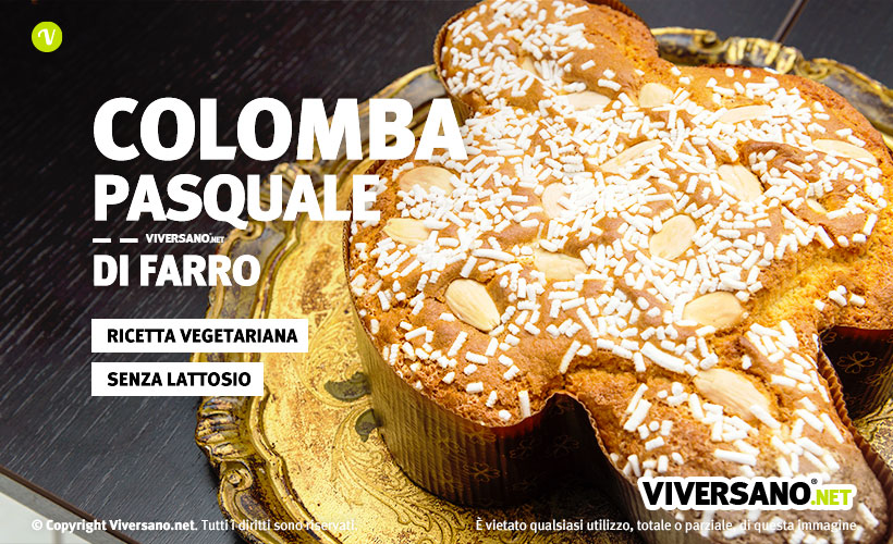 Immagine della colomba di pasqua fatta in casa