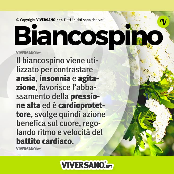 Infografica sui benefici del Biancospino
