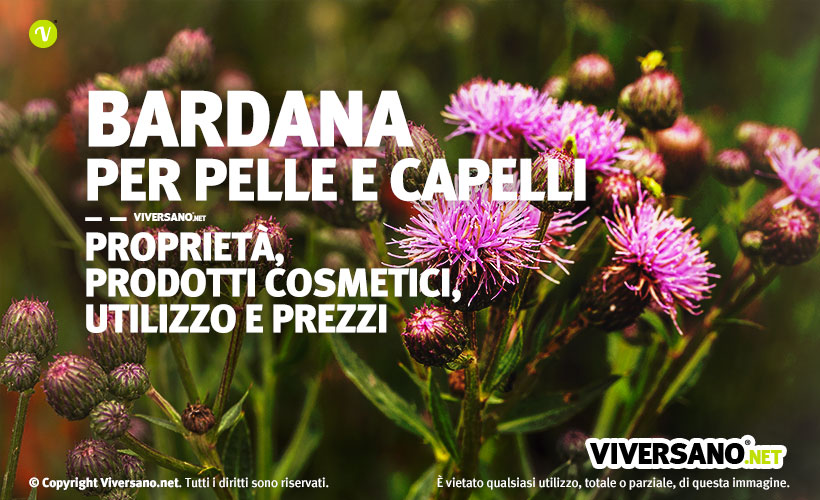 Immagine di una pianta di bardana con fiori sbocciati o chiusi