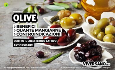 Immagine di olive di varia tipologia posizionate su piccoli piattini