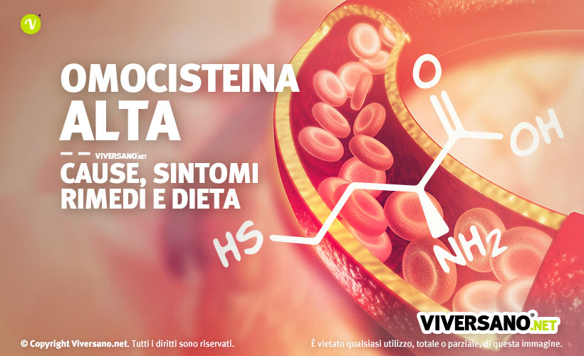 Immagine schematica di una vena con flusso sanguigno e molecola di omocisteina