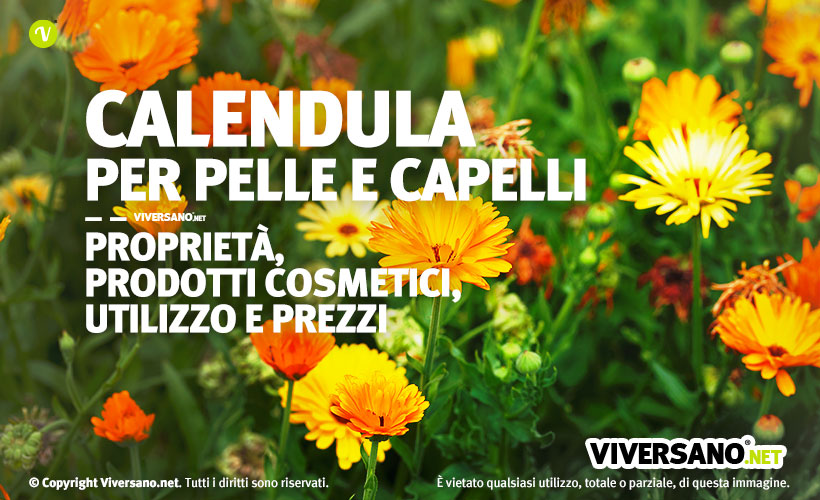Immagine di una pianta di calendula con fiori gialli