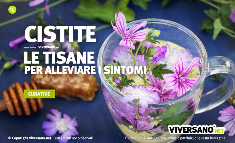 Tisana contro la cistite in una tazza di vetro