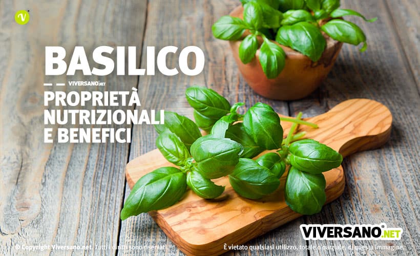 Foglie di basilico fresco sopra un tagliere