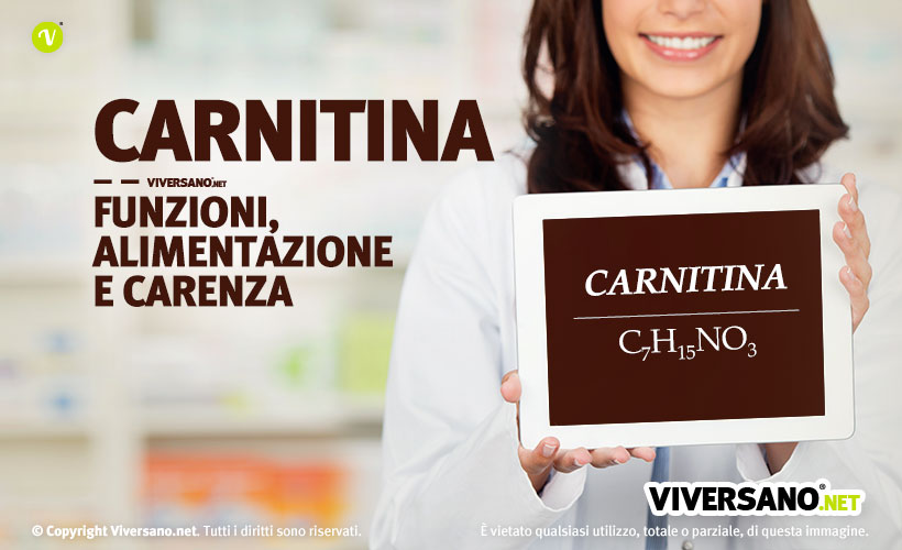 Immagine di copertina dell'articolo - Carnitina: funzioni, alimentazione e carenza