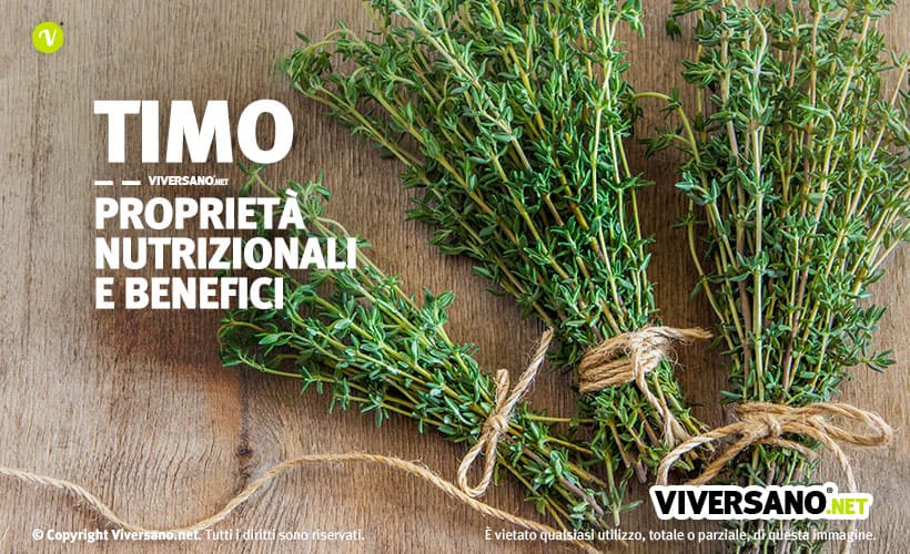 Timo fresco in mazzetti legati