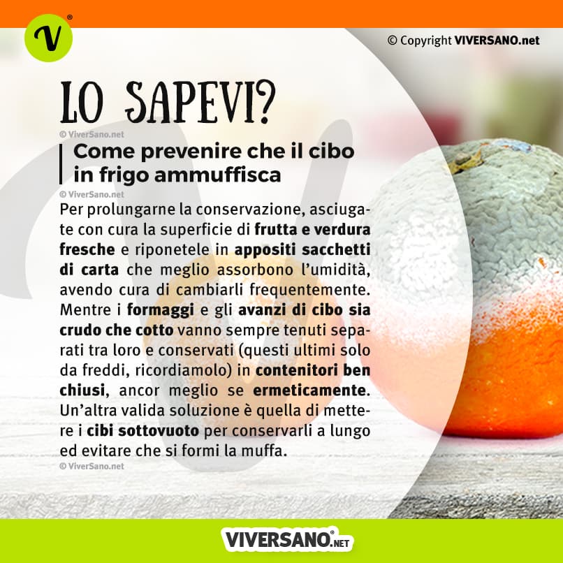 Infografica: come prevenire la muffa sui cibi nel frigorifero