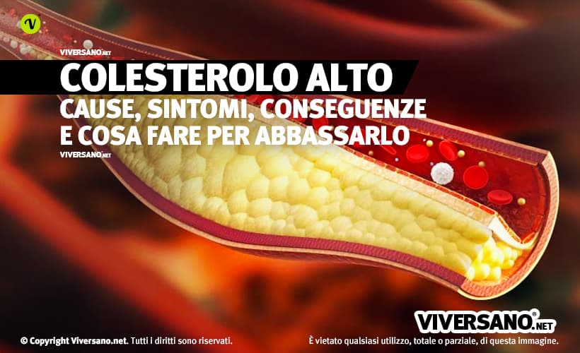 Colesterolo alto: cause e sintomi