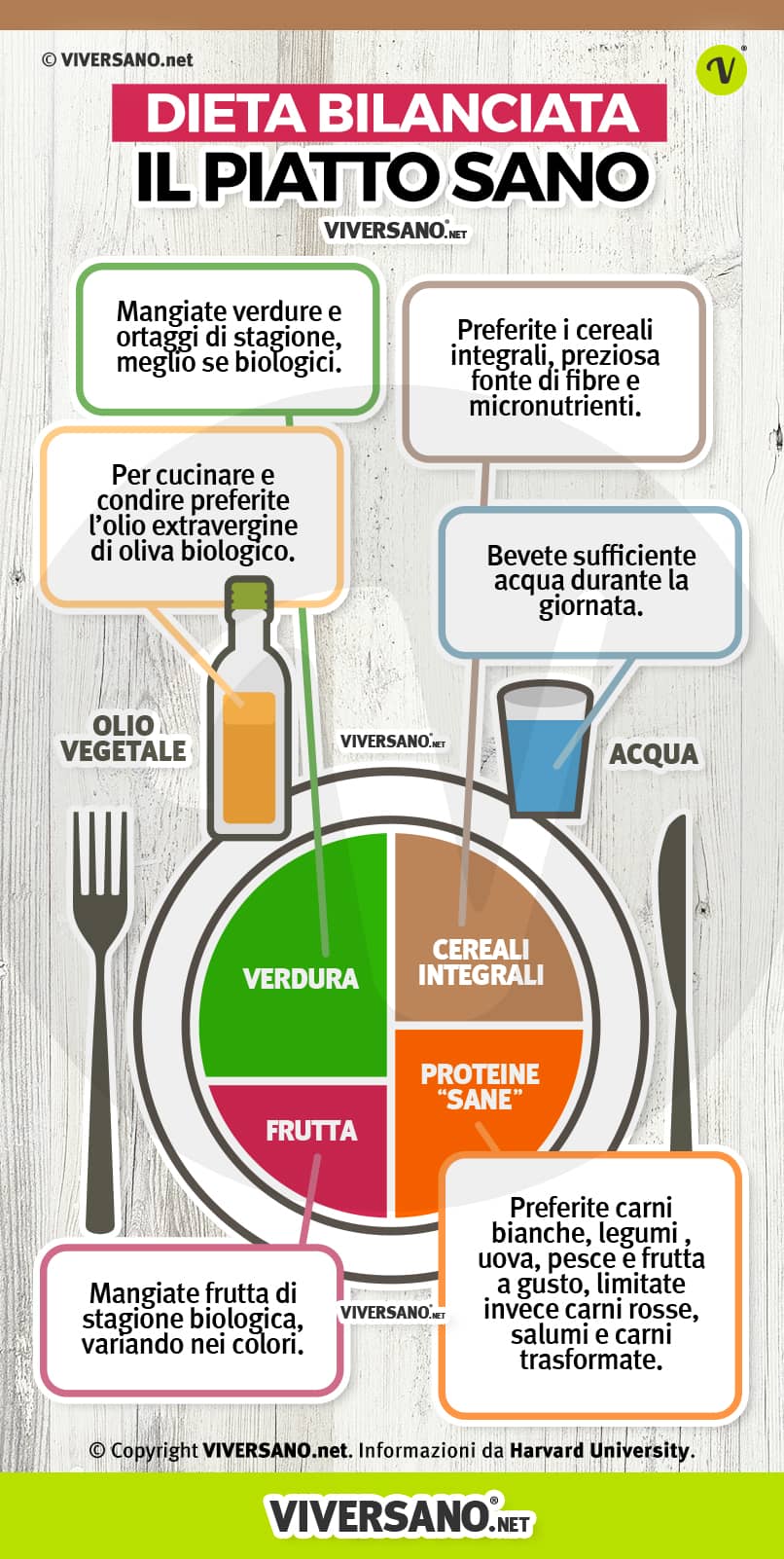 Immagine del piatto sano per una dieta bilanciata