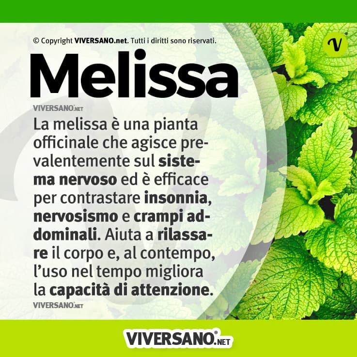 Infografica sui benefici della melissa