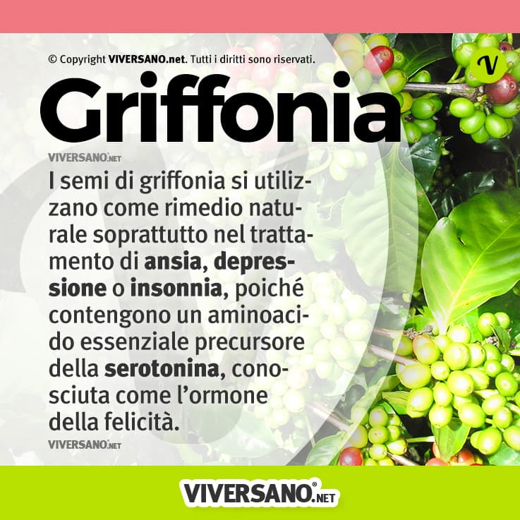 Infografica sulla griffonia