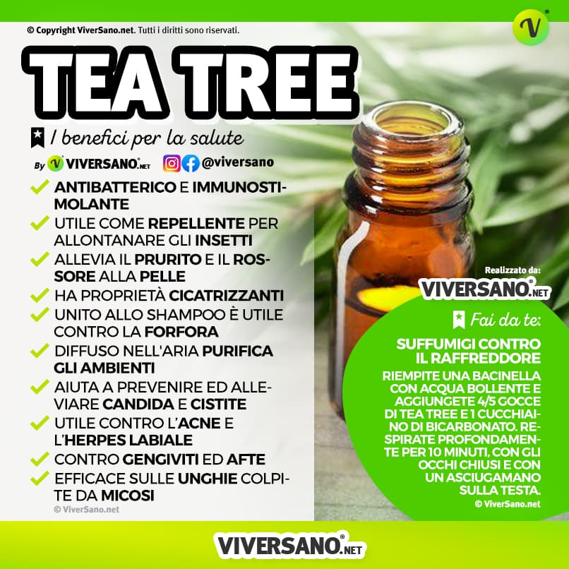 Infografica sui benefici del tea tree