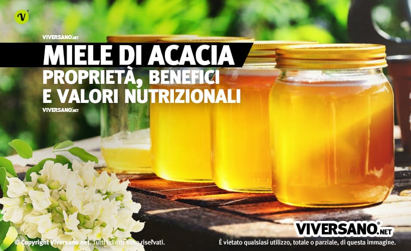 Miele di acacia in vasetti di vetro