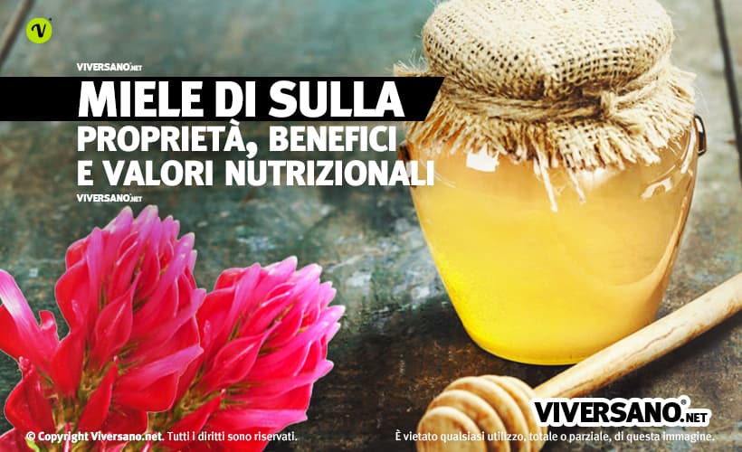 Miele di sulla in vasetto di vetro