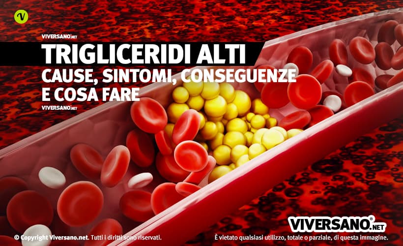 Trigliceridi nel sangue
