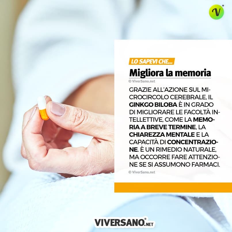 Il ginkgo fa bene alla memoria